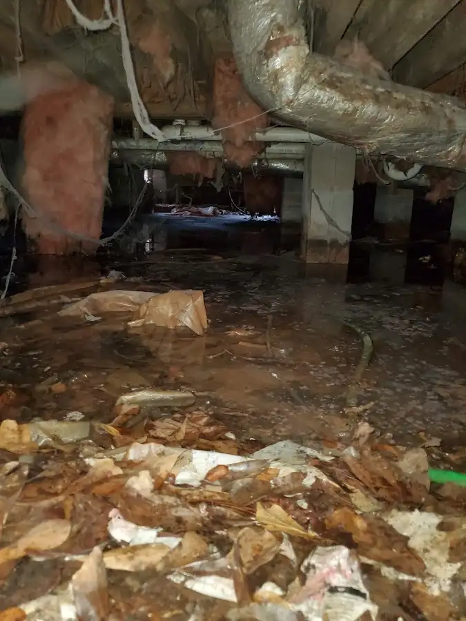 Crawl space flood assessment for Commercial Water Damage Restoration in Butler