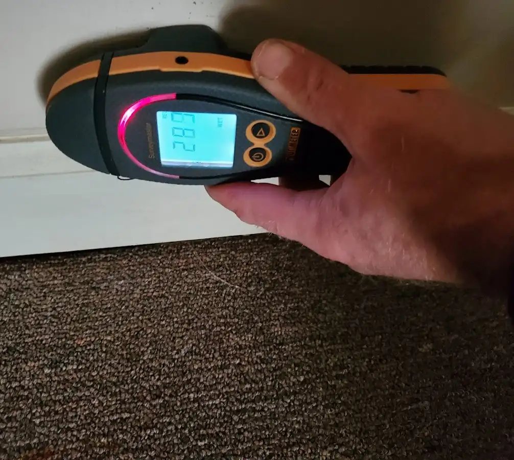 Moisture detection at baseboard during Mold Inspection & Testing in Butler
